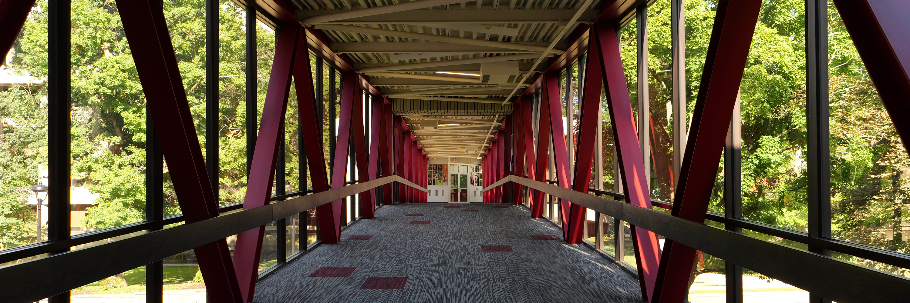 Bridge on campus