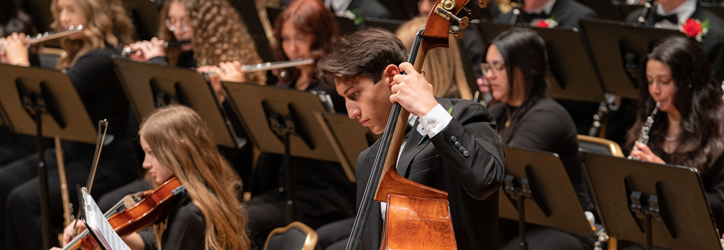 String player in Youth Orchestra