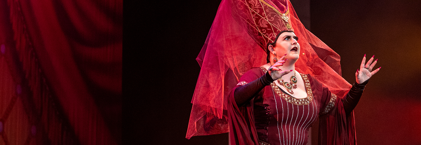 Once upon a mattress lady