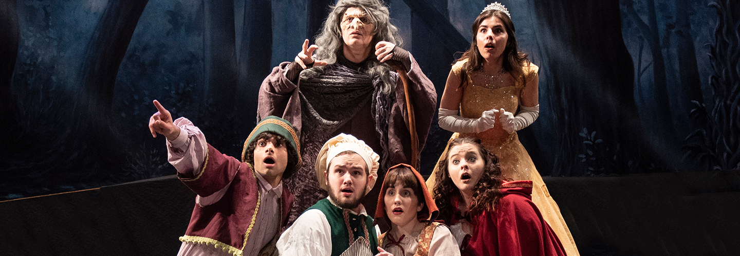 Into the Woods cast