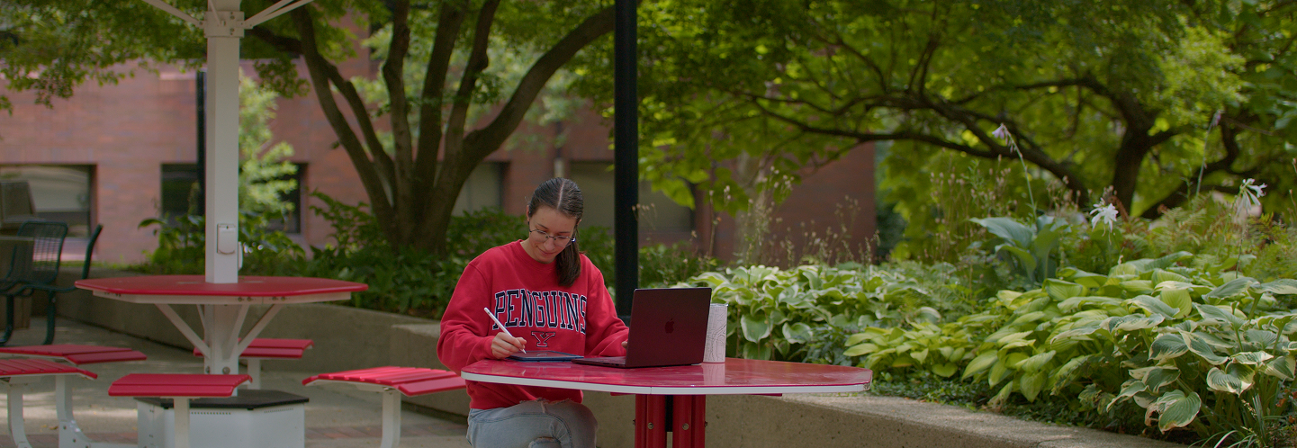 Graphic Design student sitting outside working on a digital illustration in YSU sweatshirt