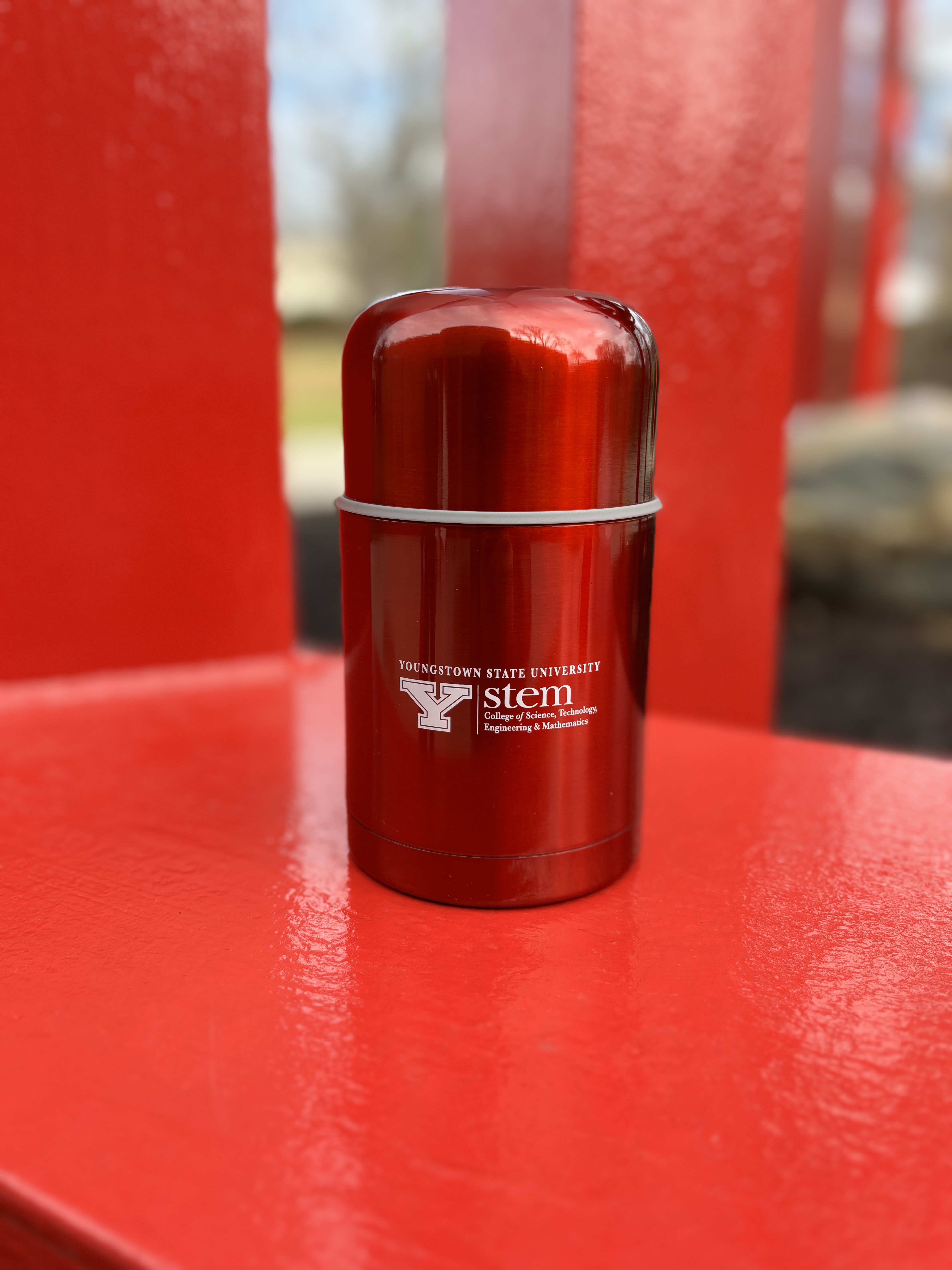 STEM Insulated Thermos