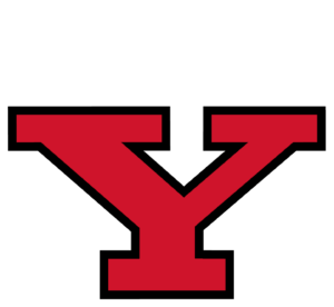 Know Y Logo